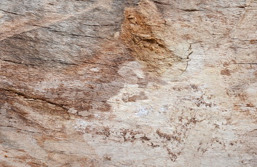 Close up of old aged weathered cracked wood profile surface texture log texture old wood texture. Beautiful wooden texture. Rustic wooden surface.