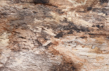 Close up of old aged weathered cracked wood profile surface texture log texture old wood texture. Beautiful wooden texture. Rustic wooden surface.