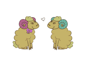Boy and girl sheep.