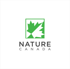 Maple leaf logo. Vector leaves of maple trees, a symbol of Canada country and nature. Vector logo template  . Leaf Canada Plant Logo Template Flat Color Template . Maple Leaf Logo .