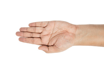 open the palm of the hand isolated on white background with clipping path.