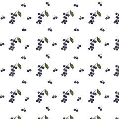 Elegant seamless pattern with bird cherry on white background.