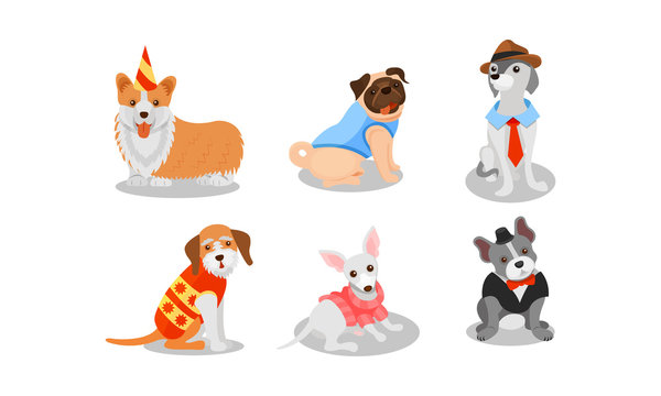 Dogs of Different Breeds Wearing Clothing Item Vector Set