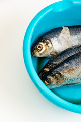 Frozen fish in a blue basin on a white background. Selective focus on the front of the fish head.