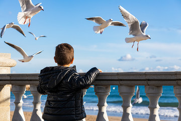 Little kid looking seagulls on the beach