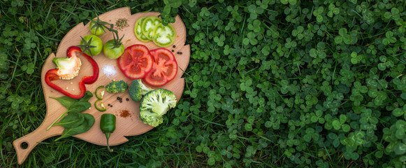 Fototapeta na wymiar Organic cooking ingredients in the grass