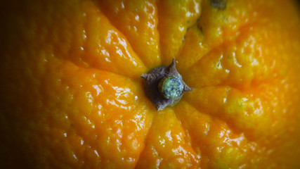 Citrus,orange or grapefruit peel, background