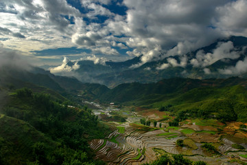 Rice terraces in rainy season in Sapa,Vietnam.