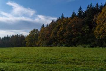Wunderbarer Mischwald im Herbst unter weiss blauen Himmel