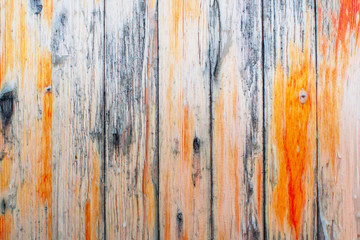 Rustic Shabby wooden background with remnants of old paint. Wood Fence Texture with Peeling Paint. Wide Angle Wallpaper or Web banner With Copy Space.