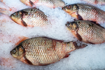 raw fish crucian on ice, sale of fish