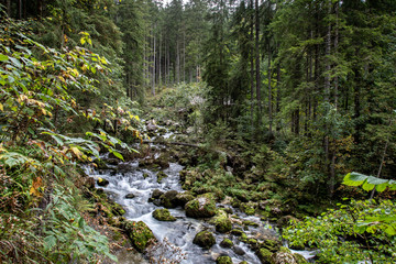 Fototapeta premium View from Golling Waterfall trail
