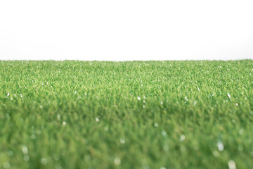 Green grass field isolated on white background