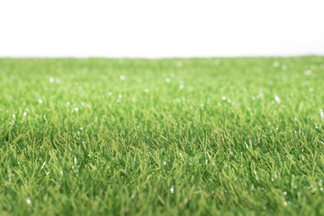 Fototapeta na wymiar Green grass field isolated on white background