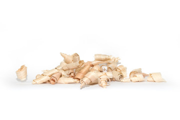 Wood shavings, beautifully curled in to a spiral isolated on white