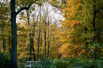 Netherlands. Autumn in The Hague