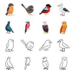 Obraz premium Isolated object of animal and wild icon. Collection of animal and natural vector icon for stock.