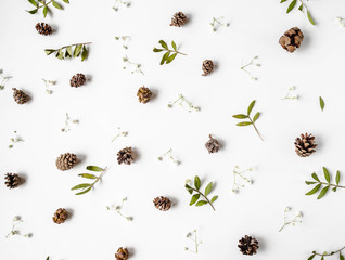 Natural creative flat lay composition background of cones, dry green leaves and white flowers on a white background. Top view.