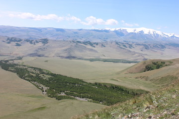  The surroundings of the village of Mugur-Aksy. July 2019.