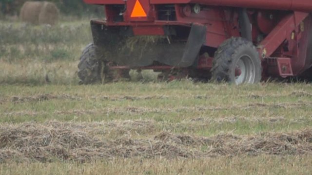 Harvester mows hay. The mown grass falls out of the device that makes the hay swath. Super slow motion 1000 fps