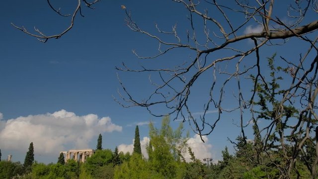 P&aacute;jaros sobre las columnas. Atenas, Grecia, Europa.