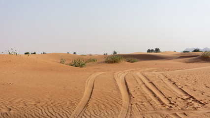 Fototapeta na wymiar United Arab Emirates desert landscape, dubai 