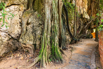 Romantic Trail to Railay beach through the caves on Railay Beach. Krabi, Thailand