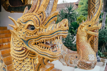 Dragon guard statue at the thai buddhist temple entrance