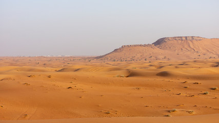 Fototapeta na wymiar United Arab Emirates desert landscape, dubai