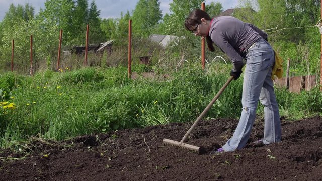 Woman farmer levels the earth with metal rake with wooden handle on sunny day. Female gardener loosens the soil in preparation for planting.
