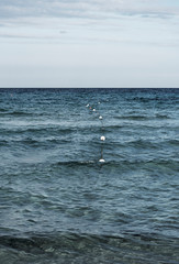 Fototapeta na wymiar Blue Mediterranean sea at Sardinia coast on late summer day.