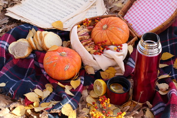 pumpkins and gourds