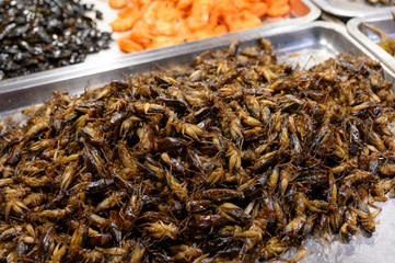 The Fried insects-thai