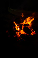 Burning wood Bonfire closeup with Red and orange flame on black background