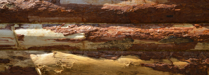 texture of old wood and wooden background