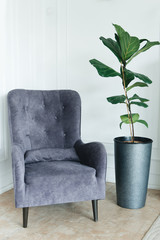 Stylish comfortable chair near white wall, next to a green plant, space for text. Interior design