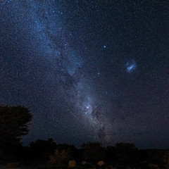 Kalahari Nights