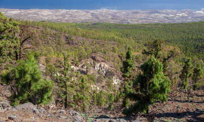 Fototapeta na wymiar Tenerife, Vilaflor municipality landscapes