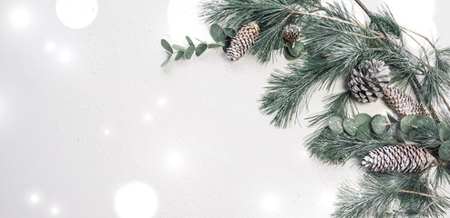 Weihnachten und Winter Hintergrund mit grünen Zweigen - christmas decoration