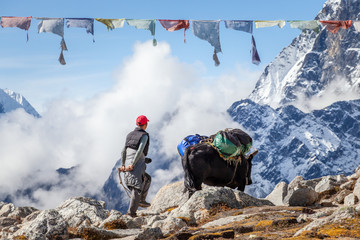 Ein Mann mit einem Yak, der Taschen auf dem Lobuche-Pass im Himalaya auf dem Everest Base Camp Trek trägt. Nepal