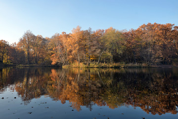 herbststimmung