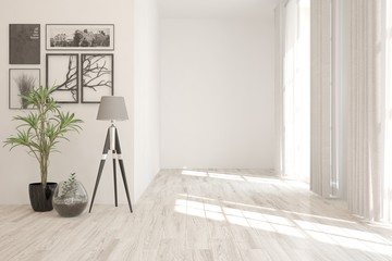 Empty room in white color with home plant and modern lamp. Scandinavian interior design. 3D illustration