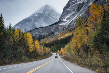 Scenic road trip with rocky mountain in autumn forest at Jasper national park