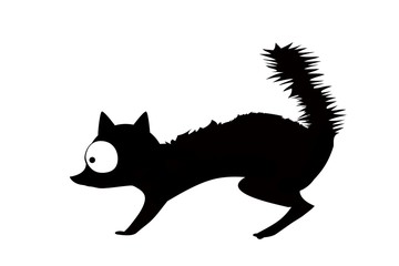 silhouette of a cat