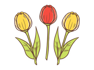 Decorative tulips, hand drawn vector isolated on white background