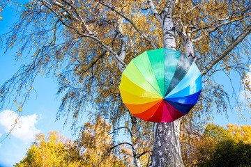 Colorful umbrella against the background of autumn