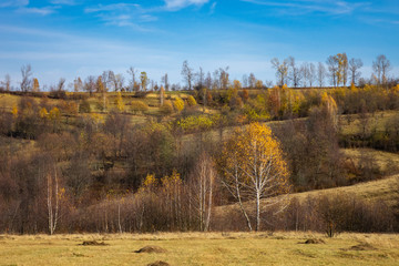 Late autumn landscape in Breb (Maramures, Transylvania, Romania)