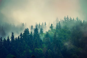 Foto auf Leinwand Nebelhafte Berglandschaft © Roxana