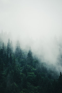 Fototapeta Misty mountain landscape