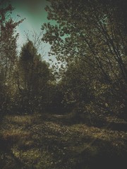 What about the epic? A little dark or amazing tones ..? Cool pictures, and yes! it's a phone baby! This is iPhone mother *F! Location Lviv - Ukraine / Photo on iPhone XS Max 